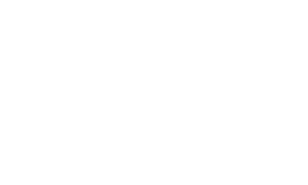 VISU